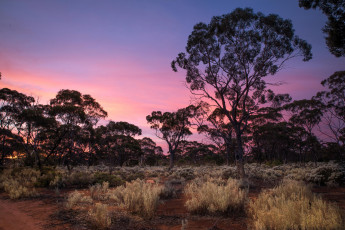 Картинка природа пейзажи простор