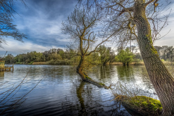 Картинка природа реки озера простор