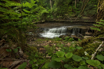 Картинка природа реки озера простор