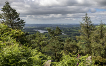 Картинка природа пейзажи простор