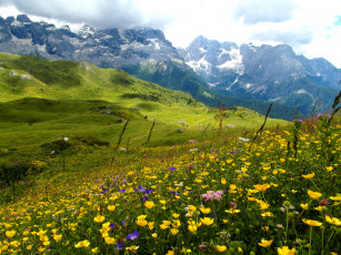 Картинка природа луга простор