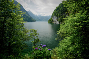 Картинка природа реки озера простор