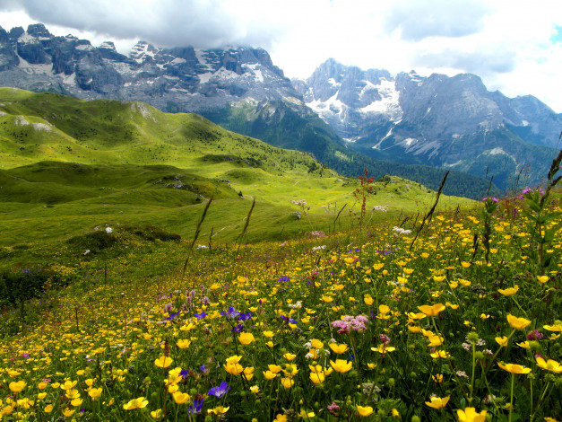 Обои картинки фото природа, луга, простор