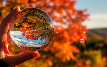 Картинка 3д+графика природа+ nature рука хрустальный шар природа осень отражение