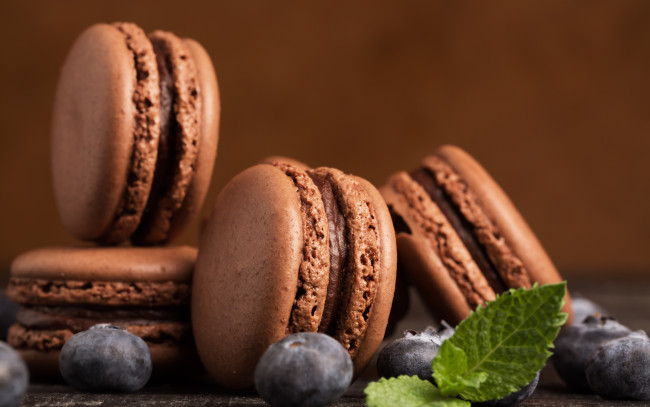 Обои картинки фото еда, макаруны, лакомство, шоколадные, мята