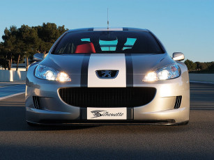 Картинка peugeot 407 silhouette автомобили