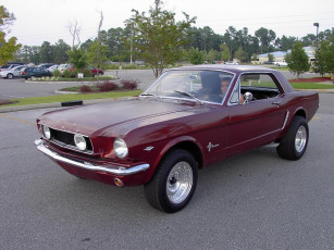 Картинка 1965 ford mustang classic 02 автомобили