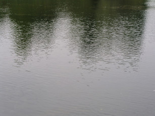 Картинка природа