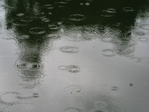 Картинка природа