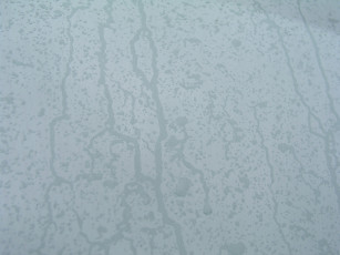 Картинка природа