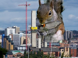 Картинка забавные зверушки 05 юмор приколы