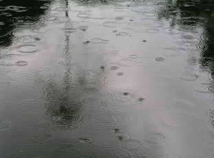 Картинка природа