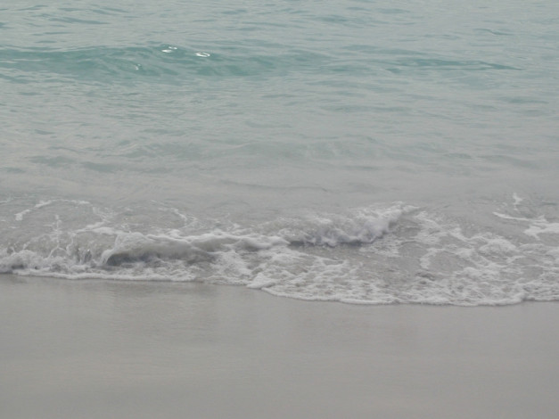 Обои картинки фото 