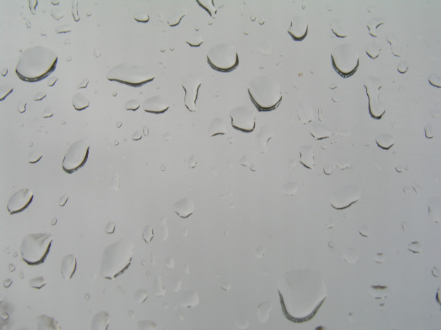 Обои картинки фото природа