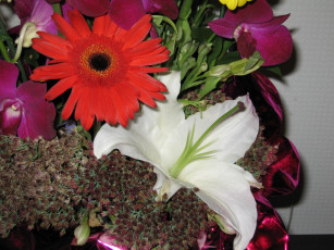 Картинка цветы букеты композиции