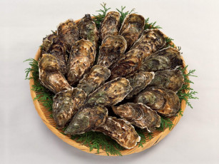 Картинка еда рыба морепродукты суши роллы