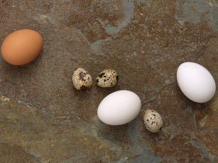 Картинка еда Яйца