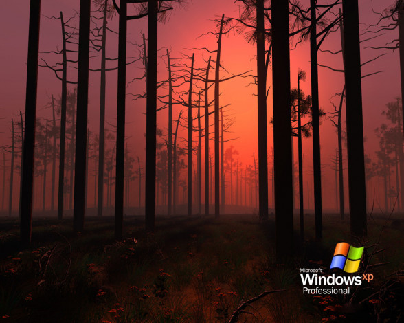 Обои картинки фото компьютеры, windows, xp
