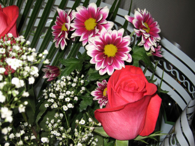 Обои картинки фото цветы, букеты, композиции