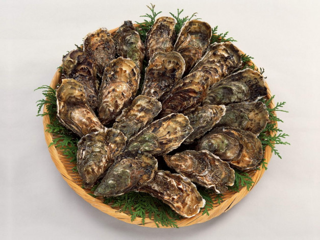 Обои картинки фото еда, рыба, морепродукты, суши, роллы