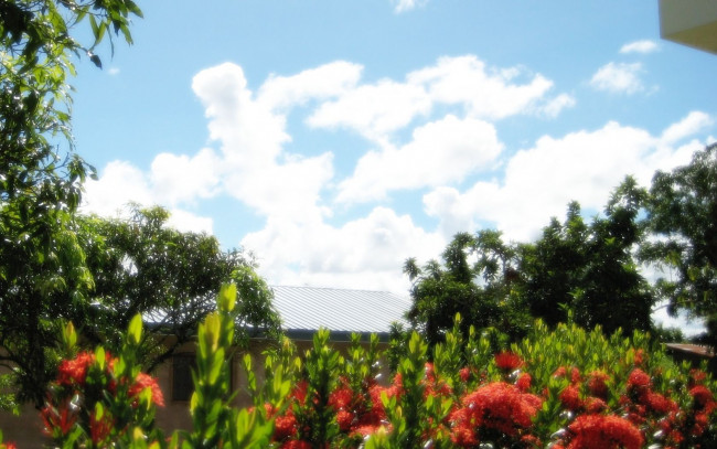 Обои картинки фото природа, другое