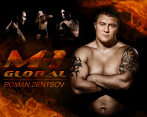 Картинка спорт mix fight