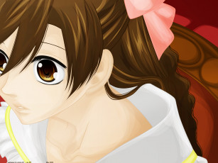 Картинка аниме ouran high school host club