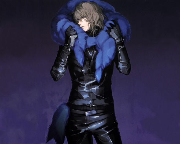 Обои картинки фото аниме, togainu, no, chi