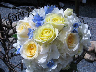 Картинка цветы букеты композиции букет розы