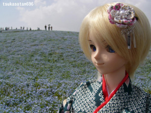 Картинка разное игрушки кукла