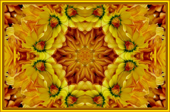 Картинка разное компьютерный дизайн цветы