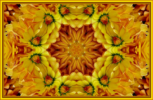 Обои картинки фото разное, компьютерный, дизайн, цветы