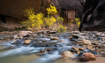 Картинка природа реки озера ущелье скалы горы река камни деревья