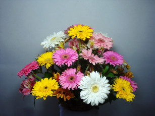 Картинка цветы букеты +композиции герберы букет альстромерии