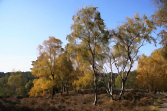 Картинка разное компьютерный+дизайн небо природа деревья лес дизайн