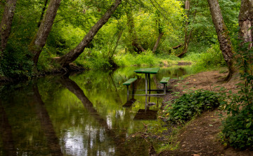 Картинка природа реки озера река лес