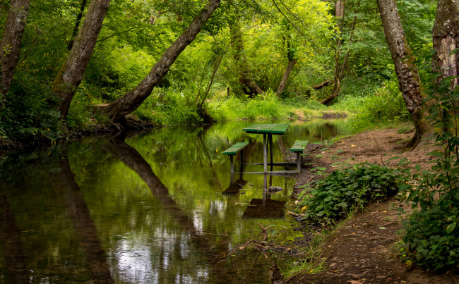 Обои картинки фото природа, реки, озера, река, лес