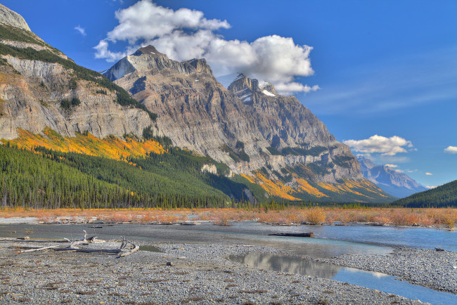 Обои картинки фото природа, реки, озера, лес, деревья, коряга, озеро, осень, горы, облака, небо, склон