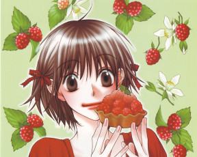 обоя аниме, hanakimi, ashiya, mizuki