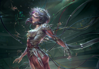 Картинка фэнтези роботы +киборги +механизмы ghost in the shell девушка провода металл