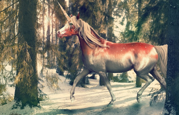 Картинка фэнтези единороги природа by i-mi единорог