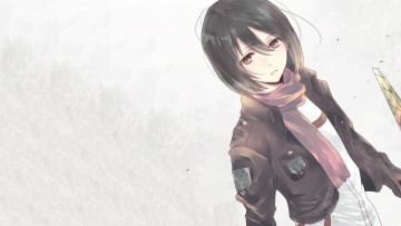 Картинка аниме shingeki+no+kyojin attack on titan anime mikasa ackerman