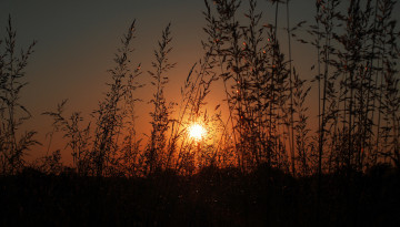 Картинка природа восходы закаты рассвет