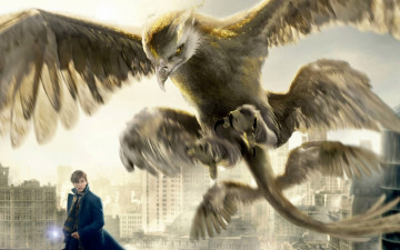 Картинка кино+фильмы fantastic+beasts+and+where+to+find+them fantastic beasts and where to find them