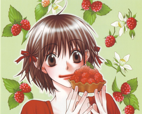 Обои картинки фото аниме, hanakimi, ashiya, mizuki