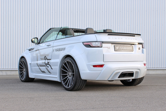 Обои картинки фото автомобили, range rover, hamann