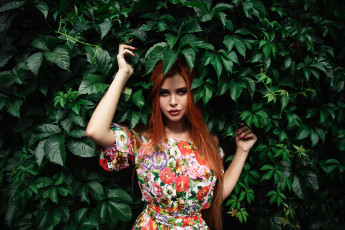 Картинка девушка девушки dana+bounty модель