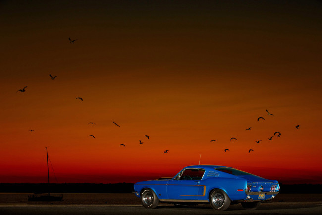 Обои картинки фото автомобили, mustang