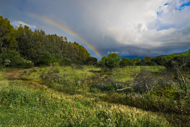 Обои картинки фото природа, пейзажи, простор