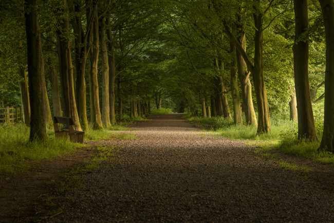 Обои картинки фото природа, дороги, простор